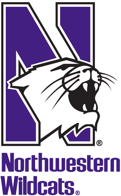 Northwestern Wildcats 1981-Pres Alternate Logo v2 iron on transfers for clothing